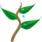 Natura Pro Vita Qualität und Reinheit für Mensch und Tier